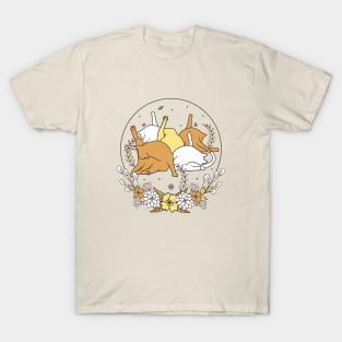 Cats Licking Butt T-Shirt